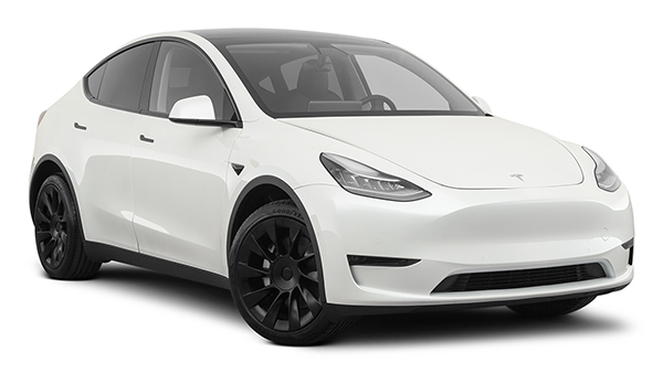 2021 Tesla Model Y Long Range CUV | Best Cars for Dogs 2021