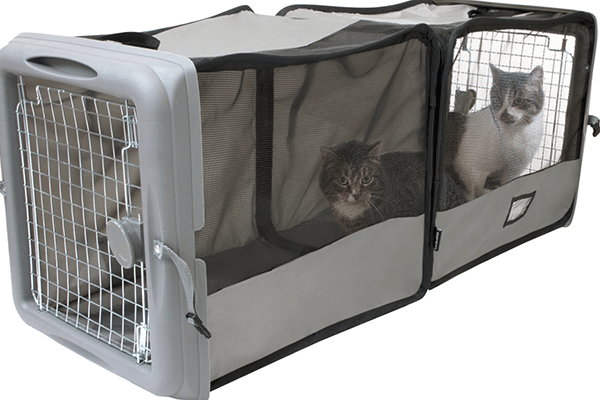 Two cats in a SP Dog & Cat Car Seat Crate | Best Car Seats for Dogs 2021