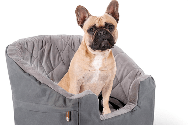 French Bulldog in a bucket booster car seat | Best Car Seats for Dogs 2021