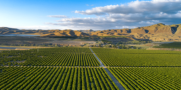 Farmland in Bakersfield, California | Cities with the Best and Worst Interest Rates
