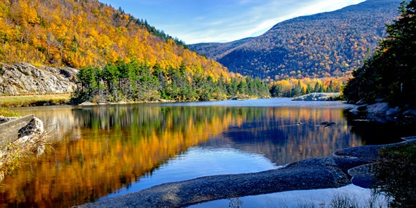 Beaver Pond, White Mountains, New Hampshire