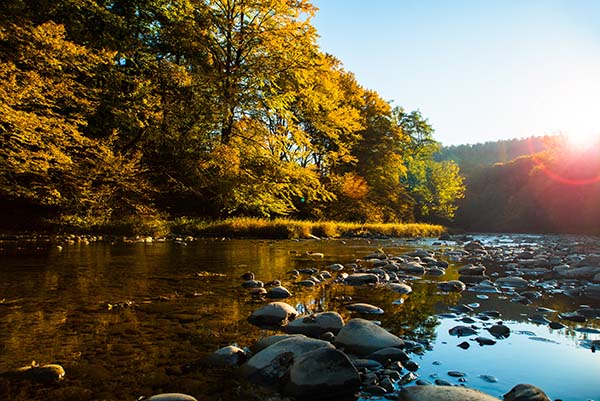 Autumn leaves line a rocky creek in Delaware on a sunny day | Top 10 States for Auto Refinance Savings