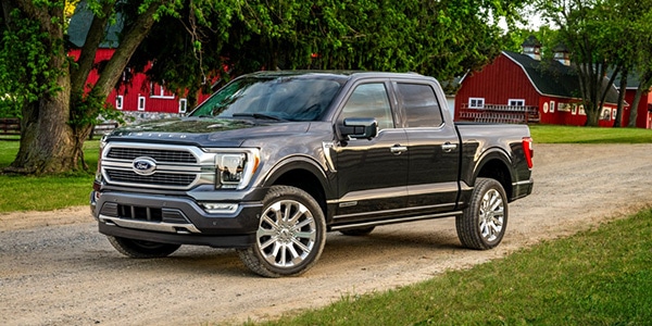 2022 Ford F150 truck