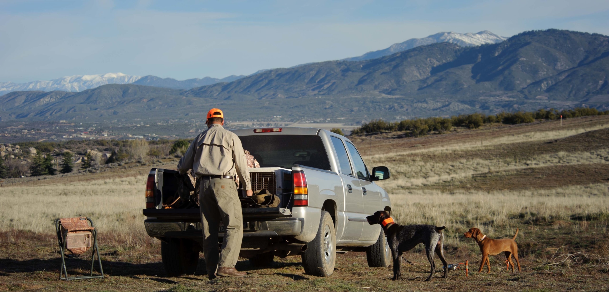 A man and two dogs prepare for hunting in a prairie with a mountain view | 5 Steps To Buy the Perfect Truck