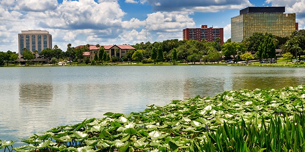 Looking out over Mirror Lake toward downtown Lakeland, Florida