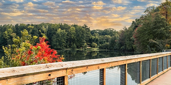 A stunning shot of a wooden bridge over a lake with lush green and autumn colored trees reflecting off the lake at sunset at Rhodes Jordan Park at Lawrenceville Lake in Lawrenceville, Georgia