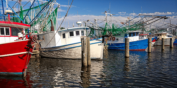 Shrimp boats in a harbor in Biloxi, Mississippi | States with the best and worst credit scores