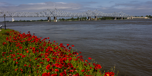 Mississippi River Bridge with red poppies along bank | Top 10 States for Auto Refinance Savings