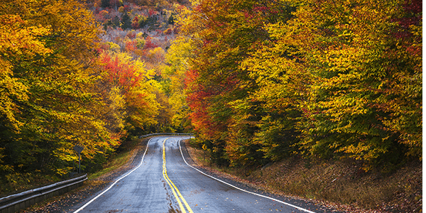 Colorful autumn leaves lining a road in New Hampshire | States with the best and worst credit scores