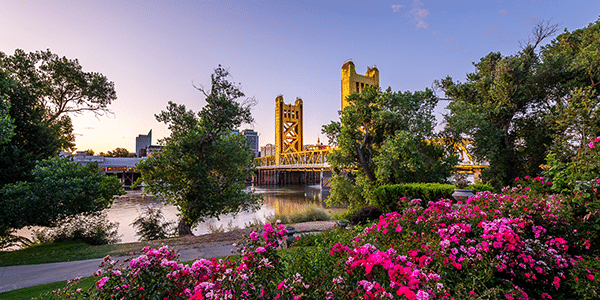 Flowers in bloon near the bridge in Sacramento, California | Cities With the Best and Worst Interest Rates