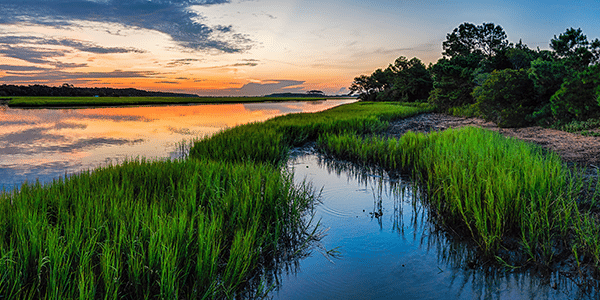 Sunrise over a marsh in South Carolina | States with the best and worst credit scores