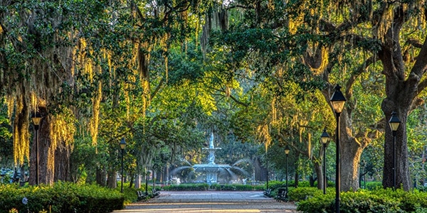Spanish moss lining a path to a fountain in Savannah, Georgia