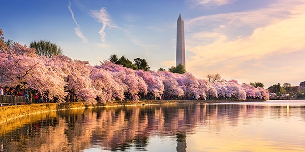 Washington Monument in Spring, Washington, D.C.
