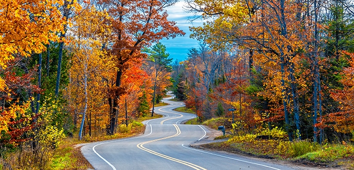 A Road at Autumn in Door County, Wisconsin