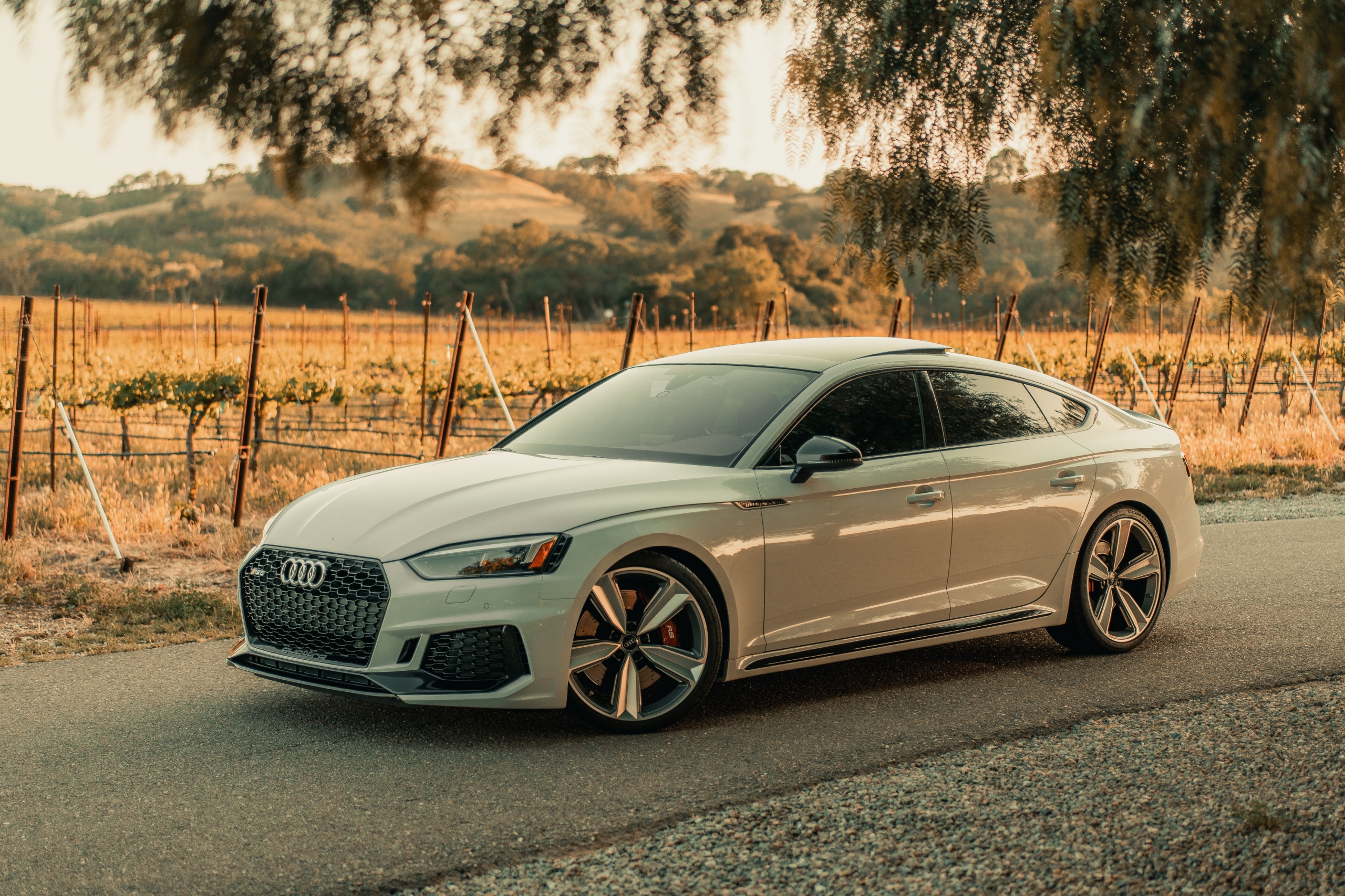 White audi on road with green background