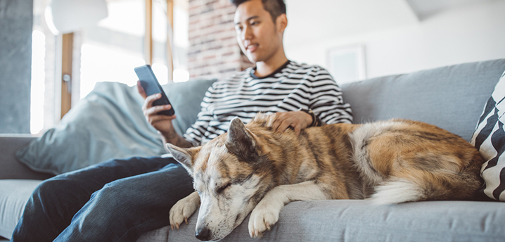 man calculating ltv on his phone with his dog