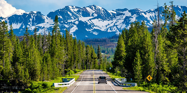 view of mountains and road through tall trees in Wyoming.
